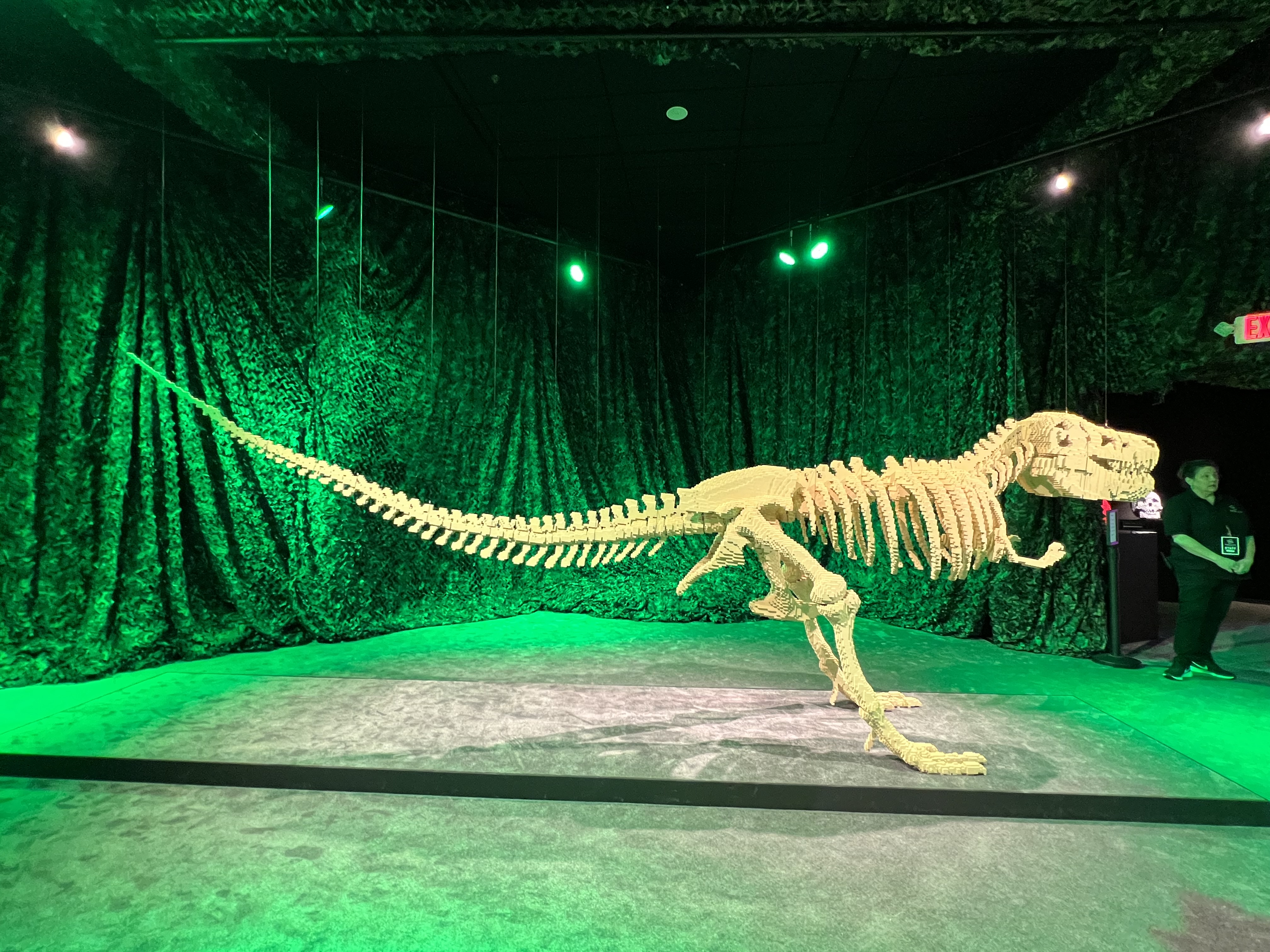 ./2023/07 - Art of the Brick/IMG_9579.JPG